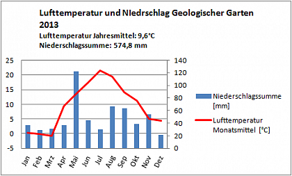 Verlauf von Niederschlag und Temperatur am Campus Heide-Sd im Jahr 2013