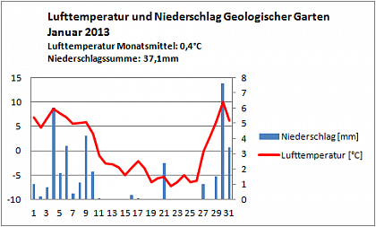 Verlauf von Niederschlag und Temperatur am Campus Heide-Sd im Januar 2013