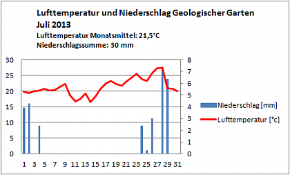 Verlauf von Niederschlag und Temperatur am Campus Heide-Sd im Juli 2013