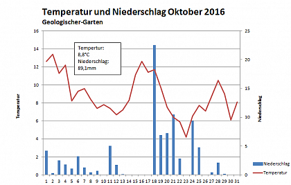 Verlauf von Niederschlag und Temperatur am Campus Heide-Sd im Oktober 2016