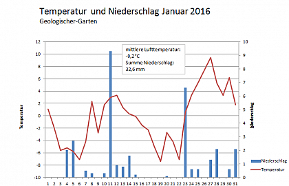 Verlauf von Niederschlag und Temperatur am Campus Heide-Sd im Januar 2016