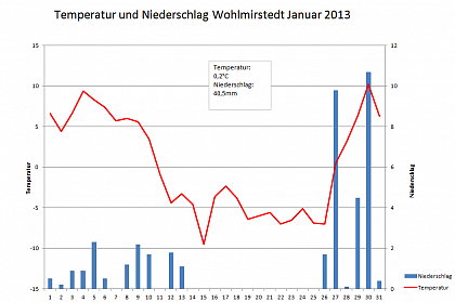 Verlauf von Niederschlag und Temperatur in Wohlmirstedt im Januar 2013